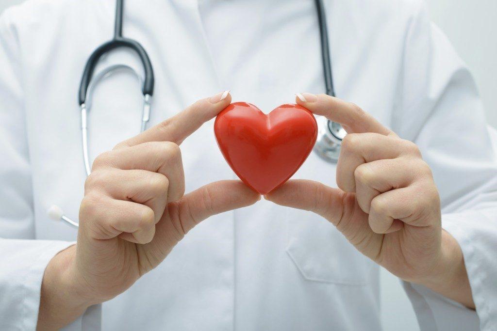A Doctor Holding a Heart