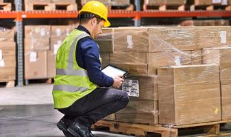 man in warehouse looking at zebra systems checks